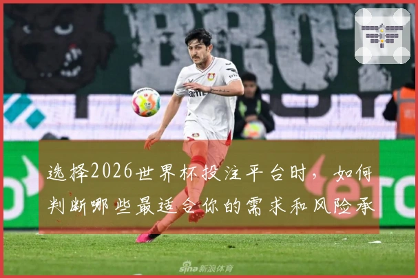 选择2026世界杯投注平台时，如何判断哪些最适合你的需求和风险承受能力？