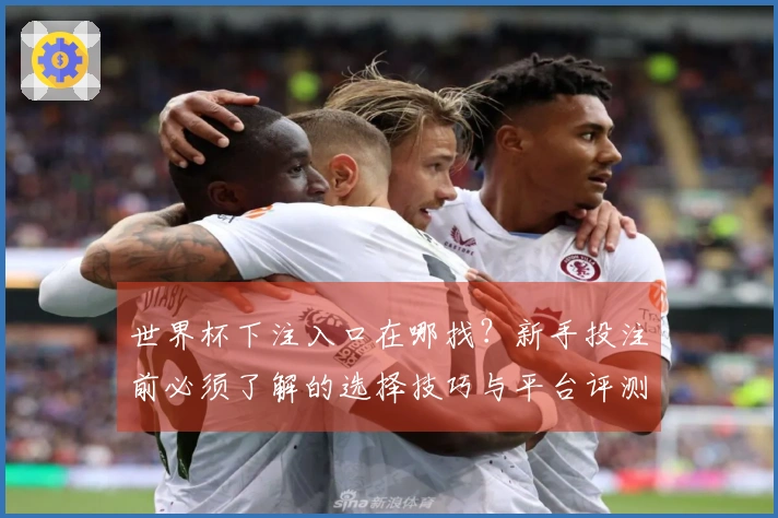 世界杯下注入口在哪找？新手投注前必须了解的选择技巧与平台评测