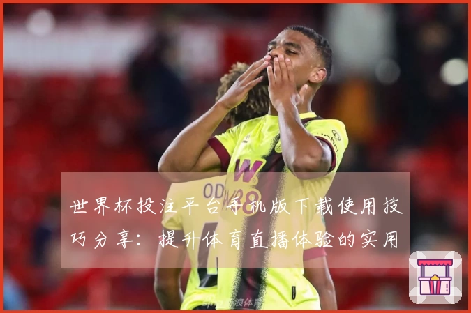 世界杯投注平台手机版下载使用技巧分享：提升体育直播体验的实用指南