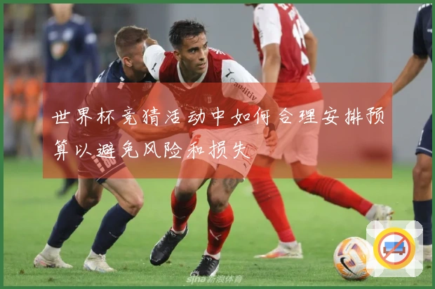 世界杯竞猜活动中如何合理安排预算以避免风险和损失