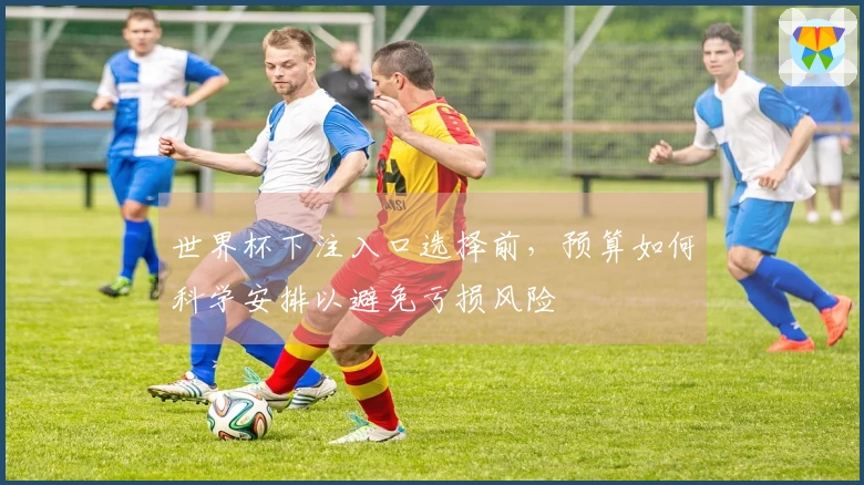 世界杯下注入口选择前，预算如何科学安排以避免亏损风险
