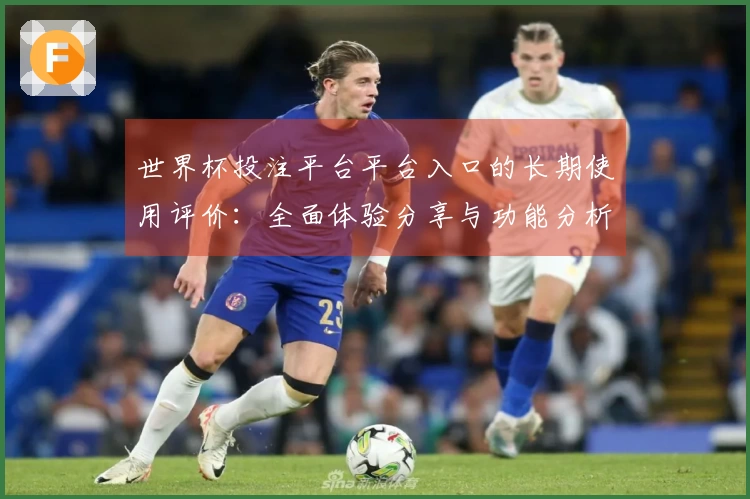 世界杯投注平台平台入口的长期使用评价：全面体验分享与功能分析