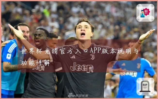 世界杯竞猜官方入口APP版本说明与功能详解
