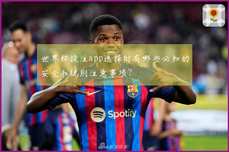 世界杯投注app选择时有哪些必知的安全和规则注意事项？