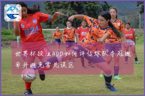 世界杯投注app如何评估球队夺冠概率并避免常见误区