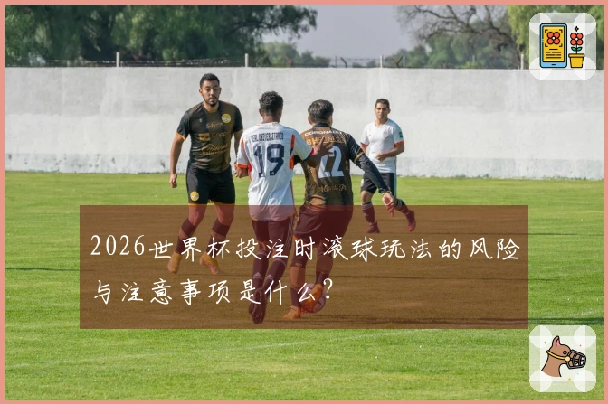 2026世界杯投注时滚球玩法的风险与注意事项是什么？