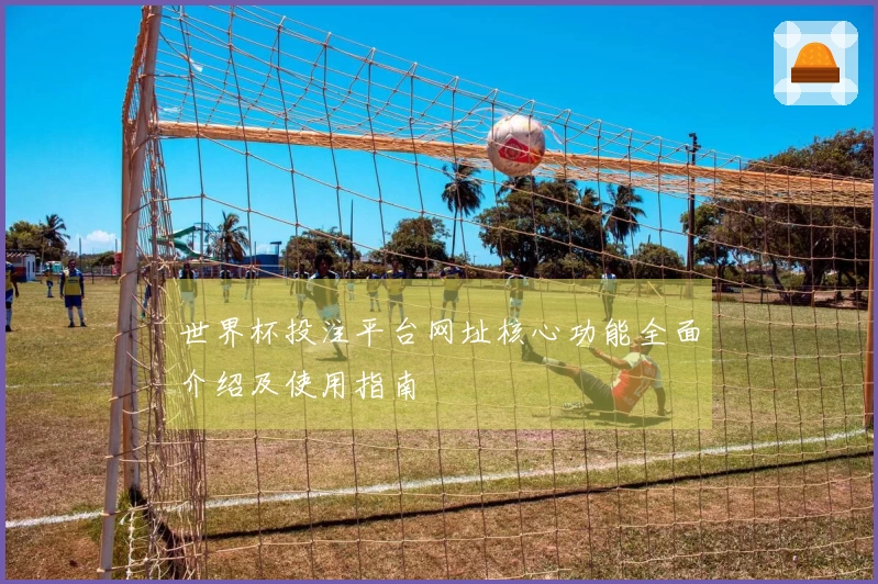世界杯投注平台网址核心功能全面介绍及使用指南