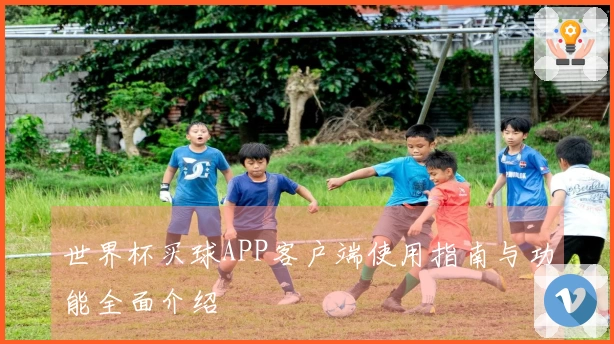 世界杯买球APP客户端使用指南与功能全面介绍