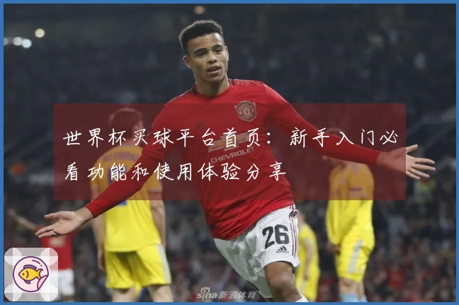 世界杯买球平台首页：新手入门必看功能和使用体验分享