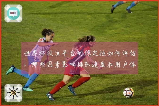 世界杯投注平台的稳定性如何评估，哪些因素影响排队速度和用户体验？