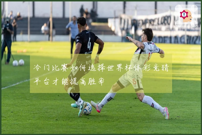 冷门比赛如何选择世界杯体彩竞猜平台才能提高胜率