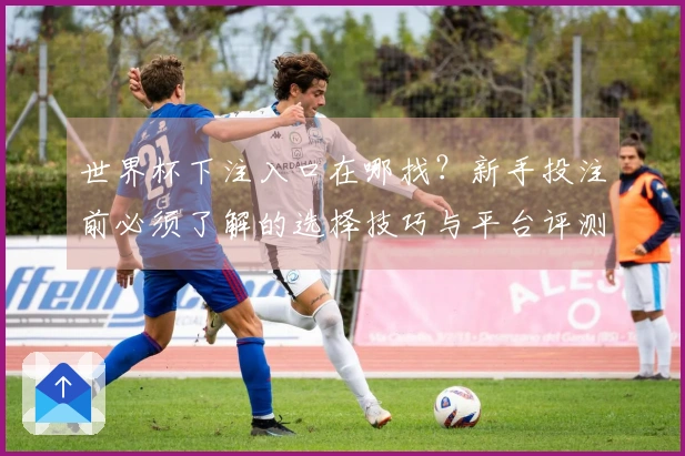 世界杯下注入口在哪找？新手投注前必须了解的选择技巧与平台评测