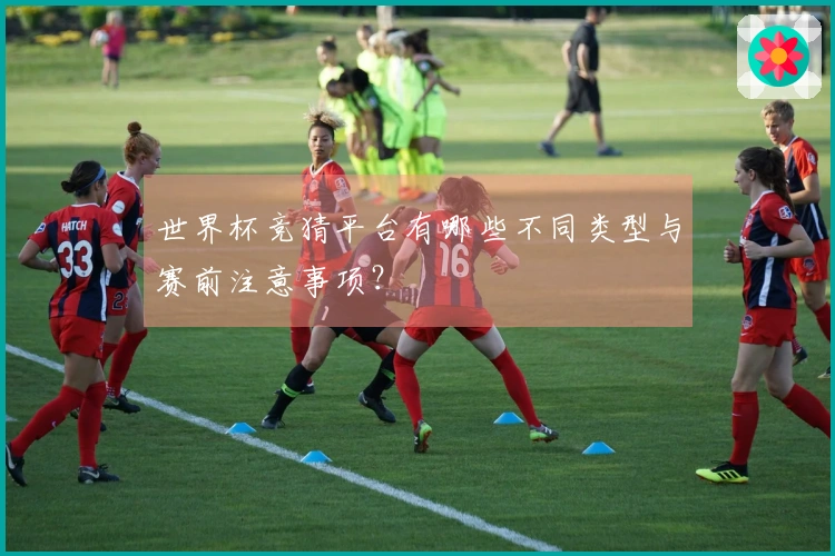 世界杯竞猜平台有哪些不同类型与赛前注意事项？