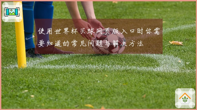 使用世界杯买球网页版入口时你需要知道的常见问题与解决方法