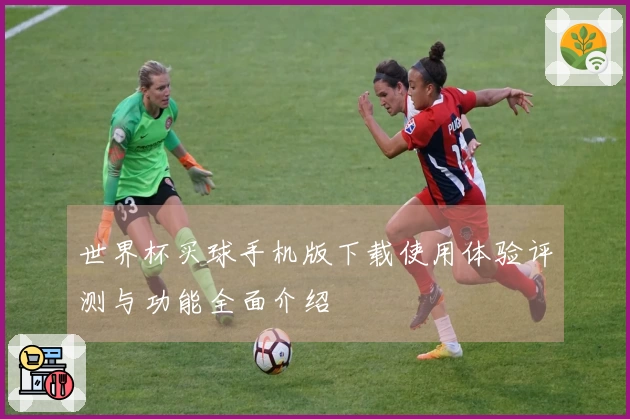 世界杯买球手机版下载使用体验评测与功能全面介绍
