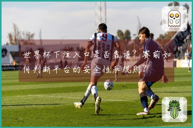 世界杯下注入口是否靠谱？赛前如何判断平台的安全性和规则？