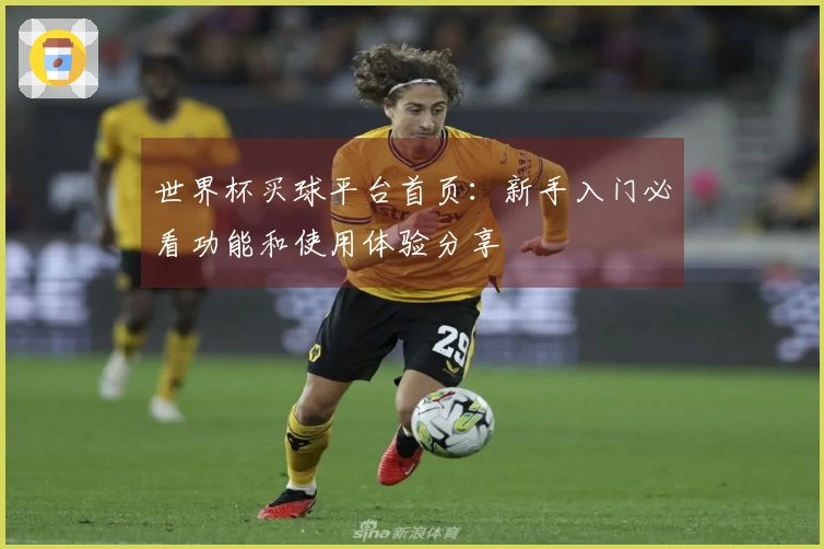 世界杯买球平台首页：新手入门必看功能和使用体验分享