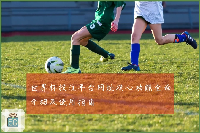 世界杯投注平台网址核心功能全面介绍及使用指南