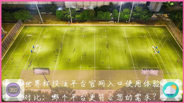 世界杯投注平台官网入口使用体验对比：哪个平台更符合您的需求？