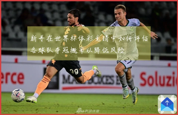 新手在世界杯体彩竞猜中如何评估各球队夺冠概率以降低风险