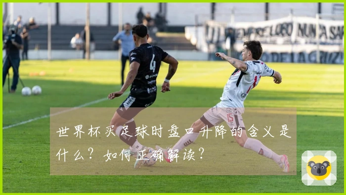 世界杯买足球时盘口升降的含义是什么？如何正确解读？