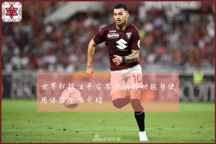 世界杯投注平台客户端的功能与使用体验全面介绍