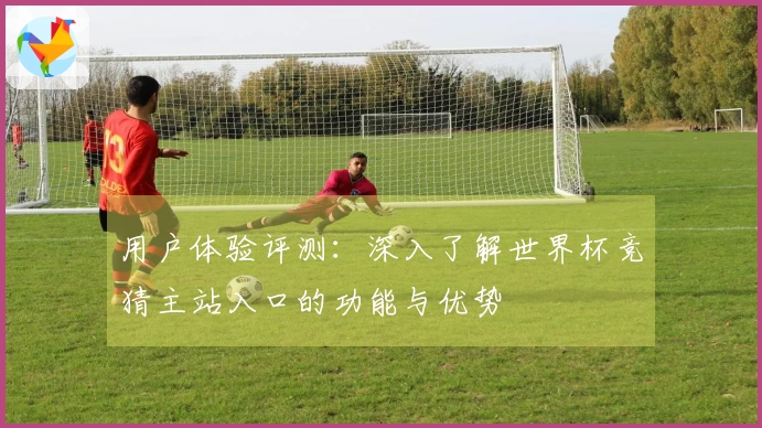 用户体验评测：深入了解世界杯竞猜主站入口的功能与优势