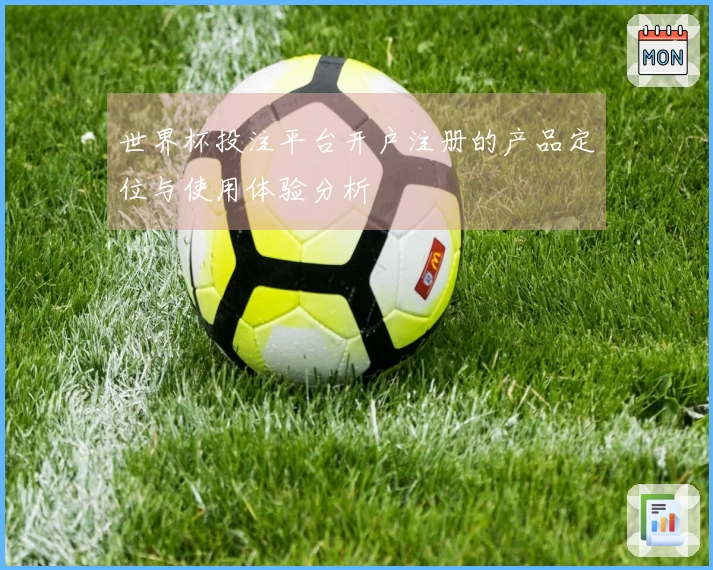 世界杯投注平台开户注册的产品定位与使用体验分析