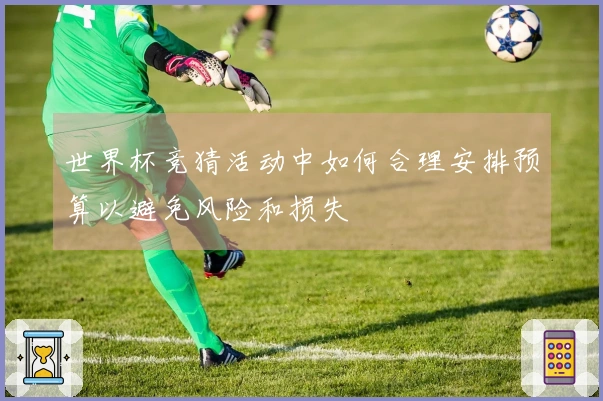 世界杯竞猜活动中如何合理安排预算以避免风险和损失