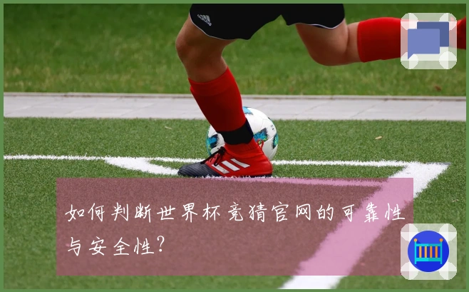 如何判断世界杯竞猜官网的可靠性与安全性？