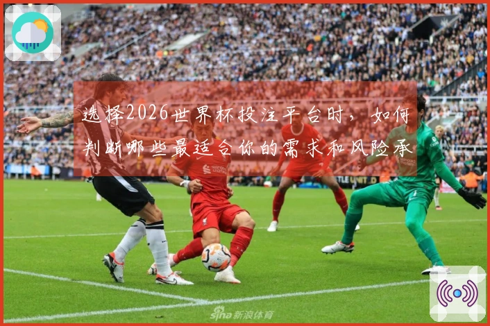 选择2026世界杯投注平台时，如何判断哪些最适合你的需求和风险承受能力？