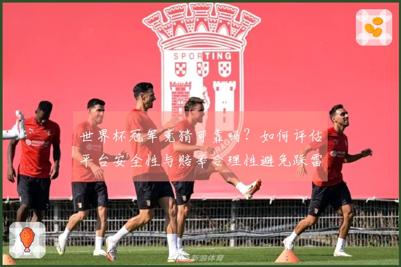 世界杯冠军竞猜可靠吗？如何评估平台安全性与赔率合理性避免踩雷