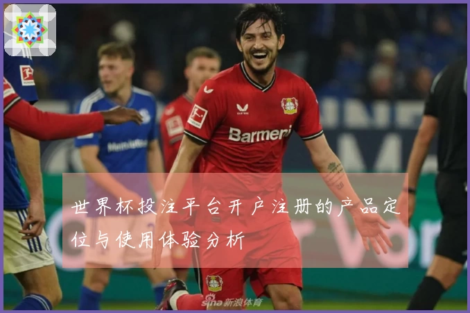 世界杯投注平台开户注册的产品定位与使用体验分析