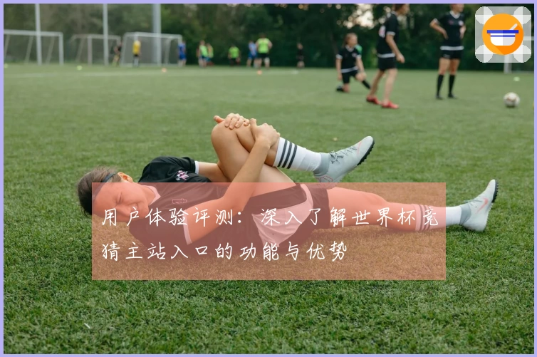 用户体验评测：深入了解世界杯竞猜主站入口的功能与优势